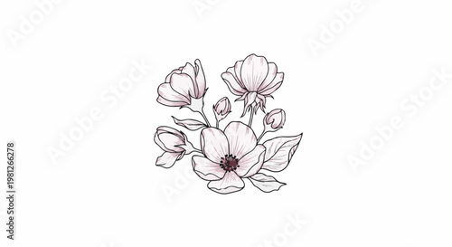Delicate sketch of blooming flowers and buds with subtle coloring