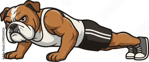 Bulldog doing a push up exercise.