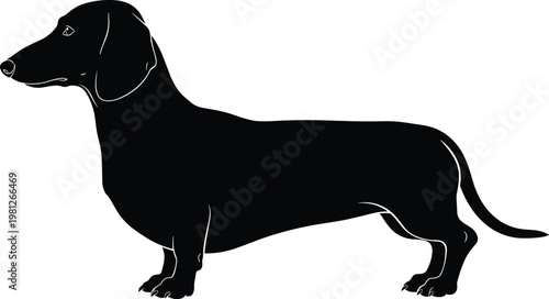 A sleek black silhouette depicts a dachshund standing in profile showcasing its elongated body high quality professional detailed modern elegant stylish
