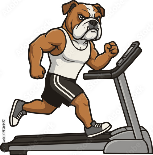 Bulldog Running on Treadmill Exercise.