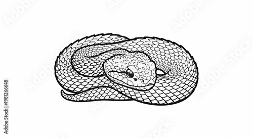 Detailed illustration of a coiled, scaly snake on a white background