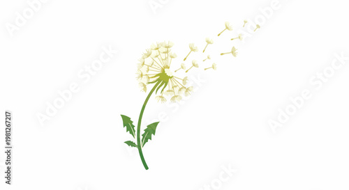 Delicate dandelion seeds blowing in the wind