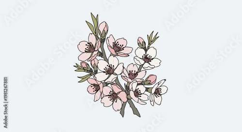 Delicate pink and white blossoms with green leaves on a light blue background