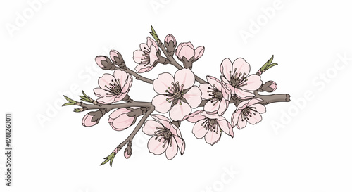 Delicate pink blossoms on brown branches with green leaves