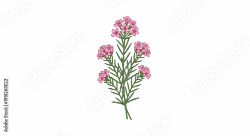 Delicate pink floral spray with thin green stems and leaves