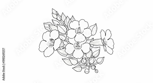 Delicate outline illustration of a cluster of blooming flowers with buds and leaves