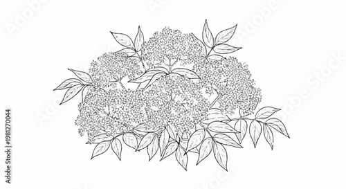 Detailed line art sketch of a cluster of blooming flowers and leaves