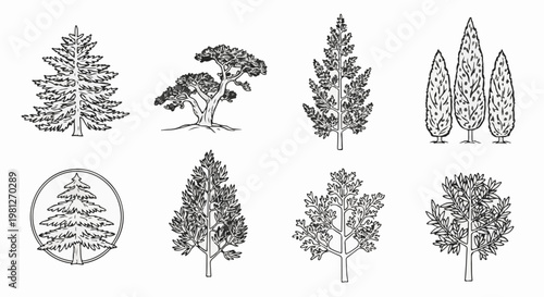 Diverse collection of stylized trees, presented in a black and white illustrative format