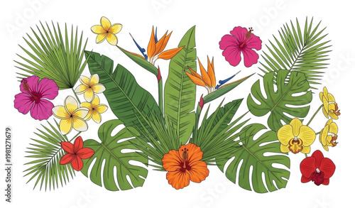 Tropical flower collection vector illustration exotic floral set design