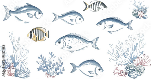 Diverse marine life and underwater flora illustration Vector