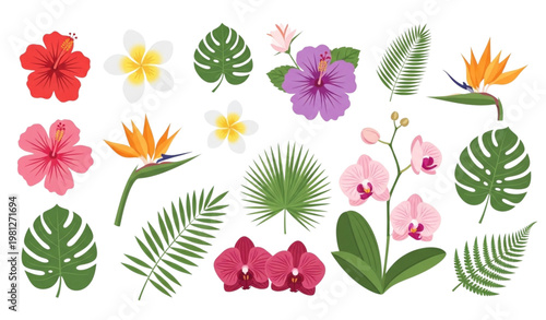 Tropical floral vector clipart set colorful flowers isolated on white