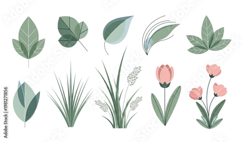 Modern botanical vector collection abstract foliage spring floral set