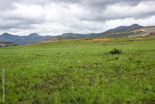 View over the Afro alpine grassland of the Golden Gate Highlands National Park, in the Drakensberg Mountains, South Africa, with a storm gathering over the distant mountain peaks in the background