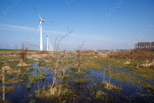 Wind turbines in wetland landscape with shrubs Netherlands