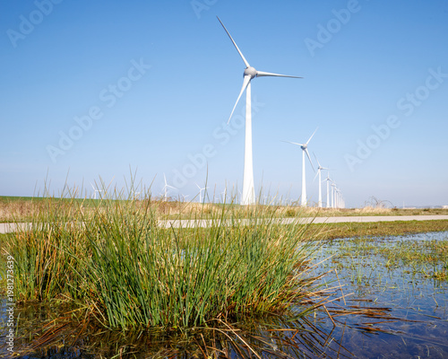 Wind turbines above marsh grasses Urk Netherlands