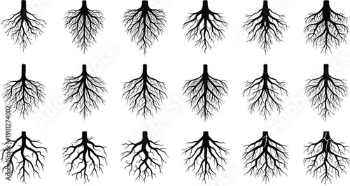 Tree Root Icon Set Collection with Underground Plant Root System Symbols for Nature, Botany, Growth, and Vector Design
