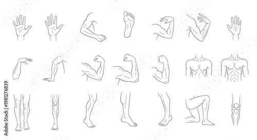 25 Hand Drawn Anatomy Icons – Hands, Feet, Arms & Legs Sketch Style
Minimal Sketch Icons – 25 Body Parts Hand-Drawn Marker Vector Set
25 Limb Icons – Hand-Drawn Body Parts Sketch Vector Collection
Hum
