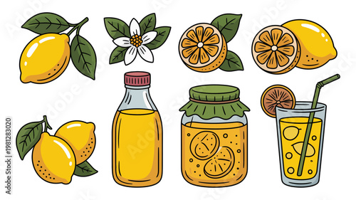 Fresh lemon fruit set with juice jar and glass of lemonade vector illustration for food branding