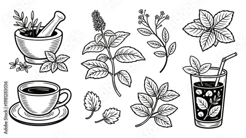 Hand drawn set of fresh mint leaves in mortar and pestle with herbal tea and refreshing drink illustration