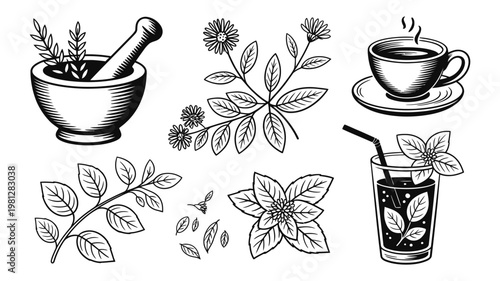 Black and white ink sketch set of medicinal herbs mortar and pestle and tea cups for apothecary