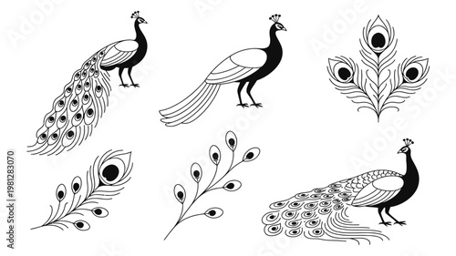Elegant black and white peacock vector collection featuring birds and detailed plumage for creative art