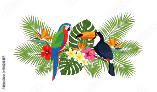 Tropical birds and flowers vector illustration parrot toucan jungle set