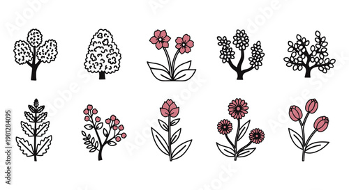 Forest Biodiversity Line art abstract colorful modern vector