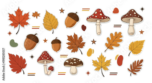 Autumn Leaves Mushrooms Acorns.