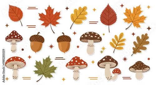 Autumn Leaves and Mushrooms.