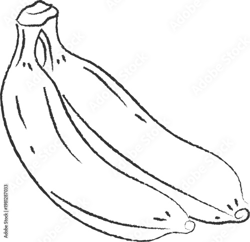 Hand drawn black and white sketch of two bananas in a bunch isolated on white
