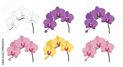 Collection of six vibrant orchid flower branches in various colors including white, purple, pink, and yellow on a white