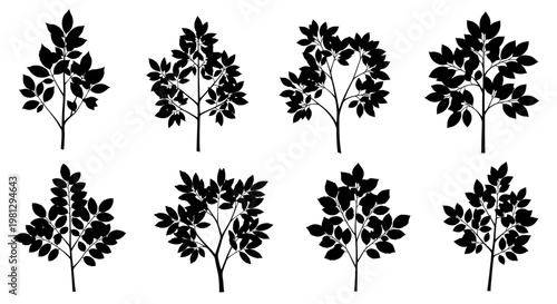 Black silhouettes of various leafy branches and small trees