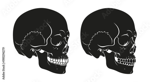 Two human skulls depicted in a black and white illustration style