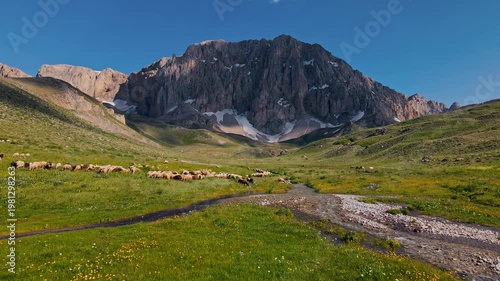Lush meadow stretches toward towering mountain peak. Streambed winds through vibrant green grass and wildflowers. Scattered sheep graze peacefully under clear blue sky