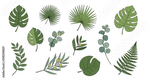 This elegant botanical illustration presents a variety of tropical leaves and olive branches with yellow fruit meticulously detailed on a white background.