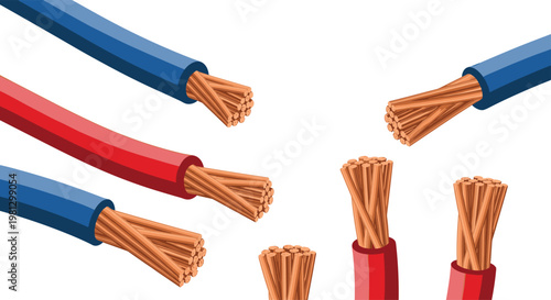 Several thick red and blue electrical cables display their internal stranded copper wiring which is splayed out at the ends for clear visibility.