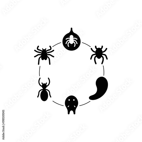 Parasite Life Cycle Diagram Vector Tick and Mite Development Stages Illustration