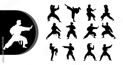 A collection of martial arts silhouettes in various fighting stances and poses