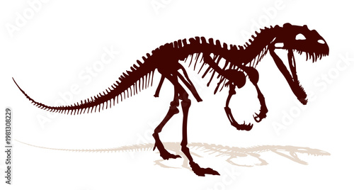 Skeleton of ancient big dinosaur.