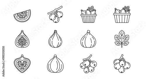 Collection of stylized line art icons depicting various figs and berries