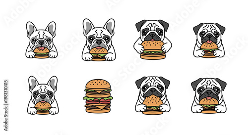 Cute French Bulldogs and Pugs happily eating delicious burgers