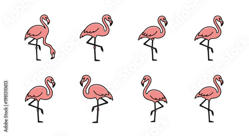 Collection of cute pink flamingos in various poses on a white background