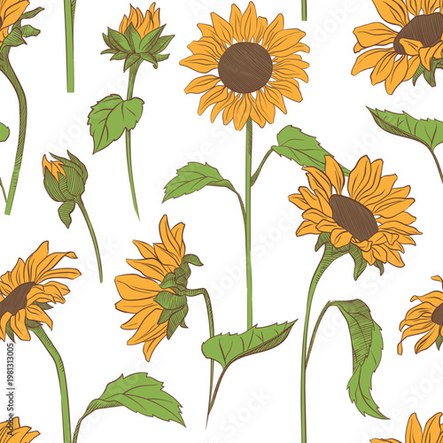 Botanical seamless pattern with hand drawn sunflowers. Vector floral background with blooming flowers, buds and leaves, for textile, wrapping paper and decorative design.