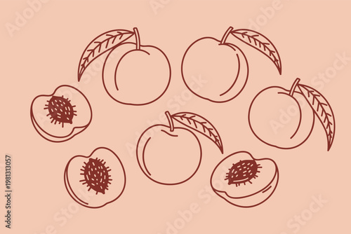 Simple line of peaches and sliced peaches with leaves on a pale peach background, fruit food line simple