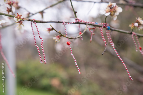 Traditional Wish Tree with Hanging Ribbons on Blossoming Branch Hope and Belief Concept