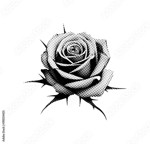 A single black rose silhouette with sharp thorns, centered and slightly tilted, minimal composition, strong contrast, halftone illustration with visible dot