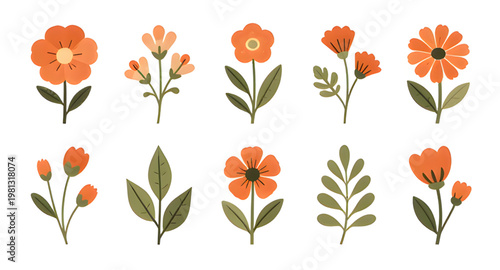 Fotografie flower vector, floral design, leaf vector, botanical illustration, plant design,