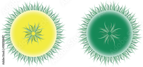 Vibrant green and yellow cell structures with spiky exterior