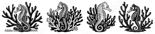 Sea horse and coral reef silhouettes set, vintage engraving style underwater sea life illustrations