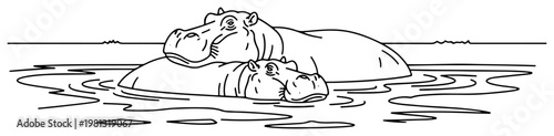 Photography Hippo family swimming in river, mother and baby hippopotamus in water, wild anim